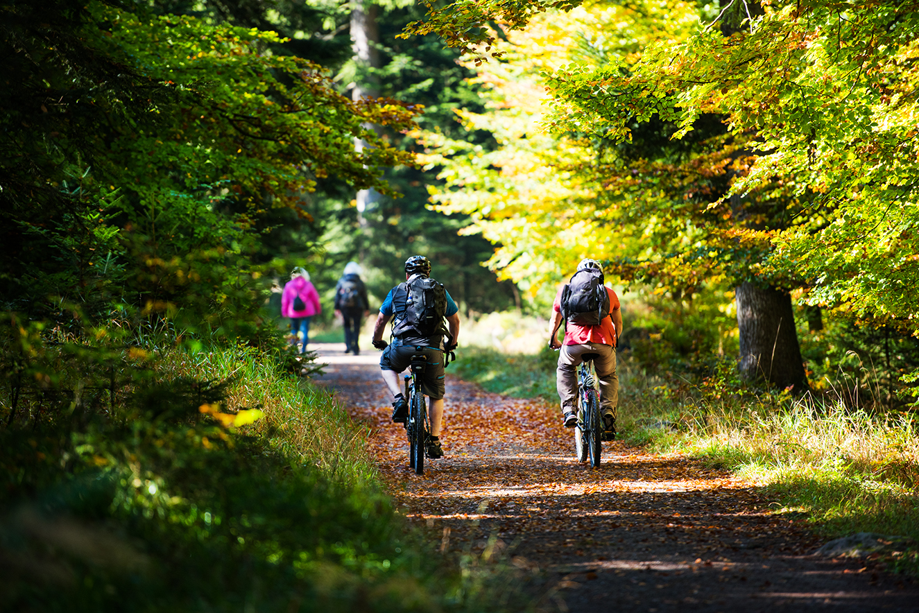 Enztalradweg